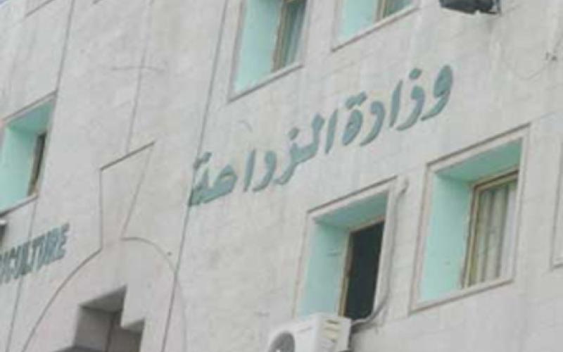 رفض دخول 444 طن من المنتجات الزراعية الشهر الماضي