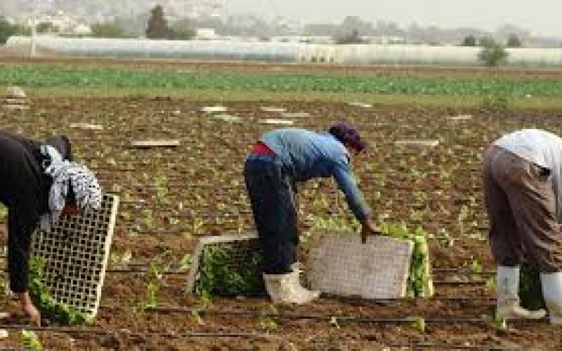 تعويض المزارعين 2ر1 مليون دينار من صندوق المخاطر
