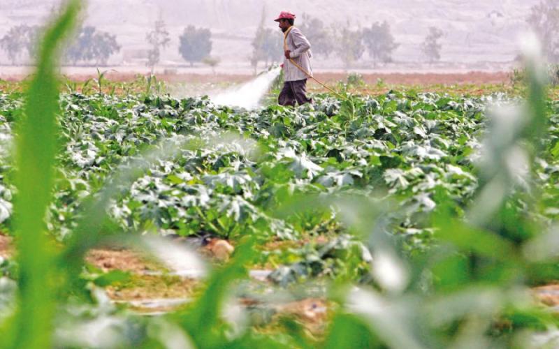 تخفيض نسبة العمالة الوافدة بمختلف القطاعات