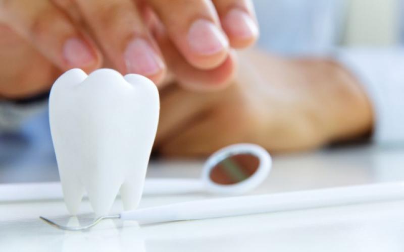 نقابة أطباء الأسنان  تُعدل لائحة الأجور قريبا