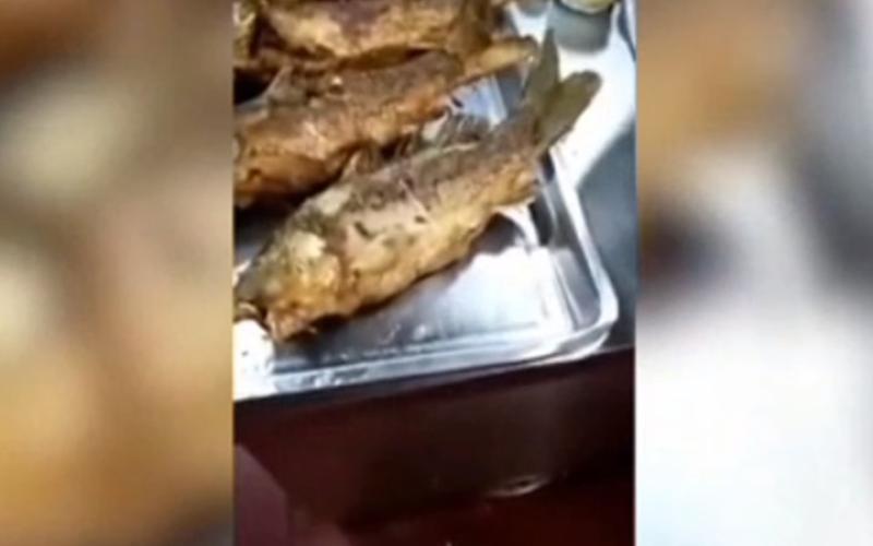 في الصين.. سمكة مقلية "تنتفض" على المائدة (شاهد)