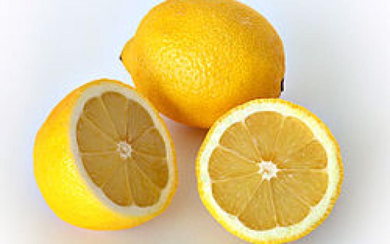 ارتفاع اسعار الليمون