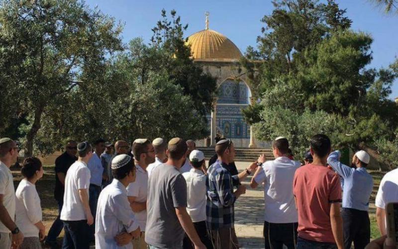 دعوات لاقتحامات مكثفة للأقصى في "يوم القدس"