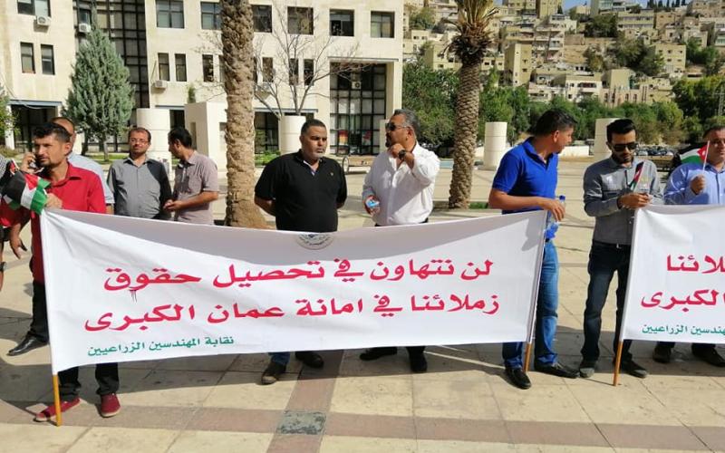 مهندسون زراعيون يعتصمون أمام أمانة عمان