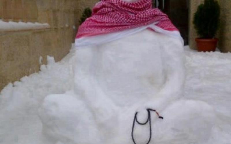 طقس العرب: تساقط الثلوج مُحتمل على المملكة خلال الشهر الحالي