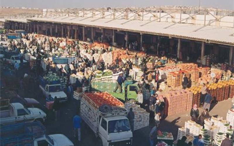 الأمانة تعفي المزارعين من رسوم المنتجات البستانيه المعده للتصدير في السوق المركزي