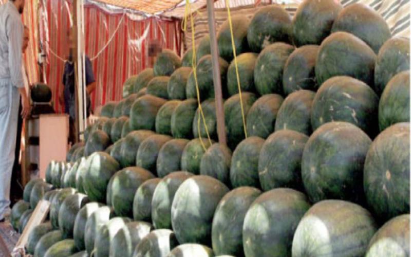 الامانة : إستمرار استقبال الطلبات الكترونيا للراغبين بتصاريح بيع البطيخ والشمام
