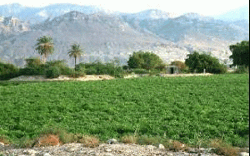 خلاف على مضخة ماء يتسبب بمقتل مواطن