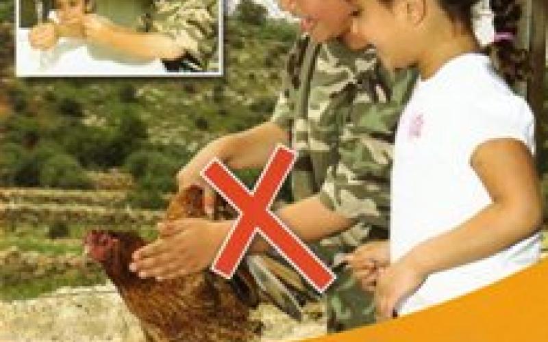 الصحة تقرأ واقع الإعلام في تعاطيه مع أنفلونزا الطيور