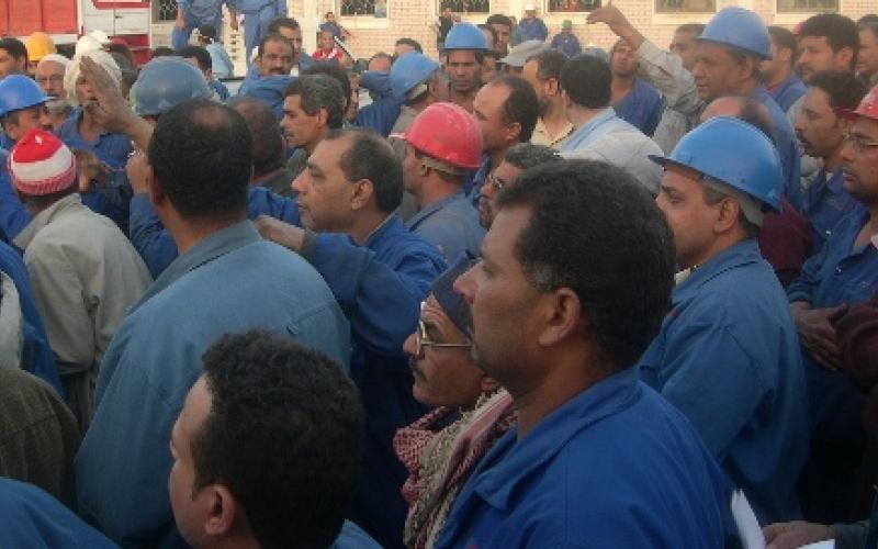 عمال المياومة مستمرين في اضرابهم ووزير الزراعة يشكك بالاضراب