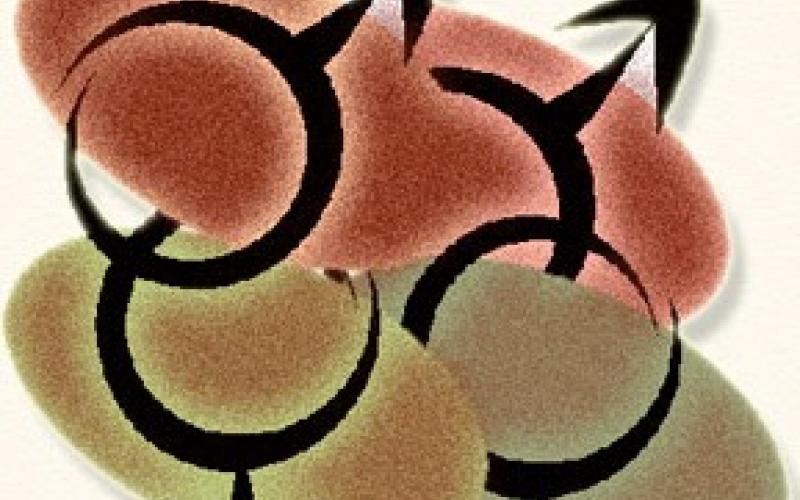 مثليو الجنس في الأردن: من الحمامات العامة إلى الانترنت