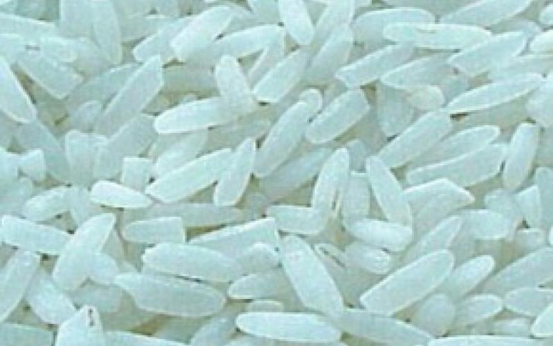 اسم الأرز المصري..يستدعي الحكومة للفحص