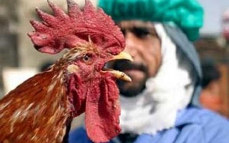 الصحة تعد خطة وطنية لمواجهة الكوارث