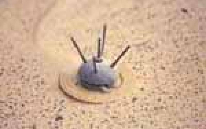 أردن خالي من الألغام في 2009