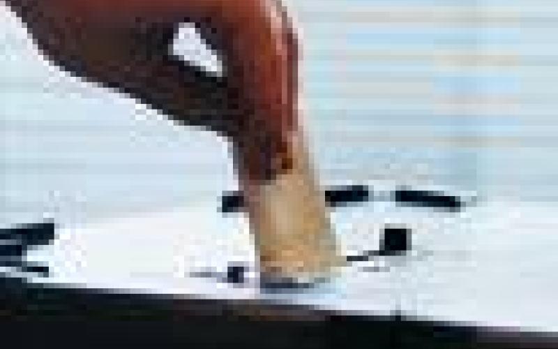 تمديد فترة الاقتراع في عدد من دوائر العاصمة