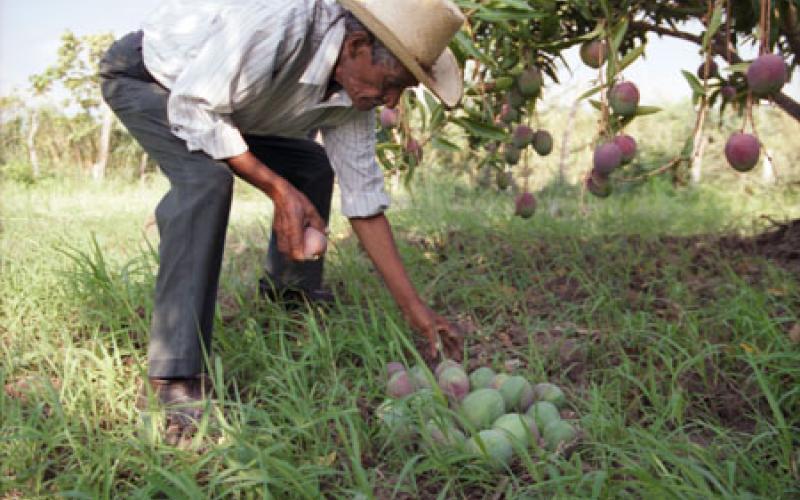 الدغمي: طلّعنا المستثمر من الباب رجع من الشباك