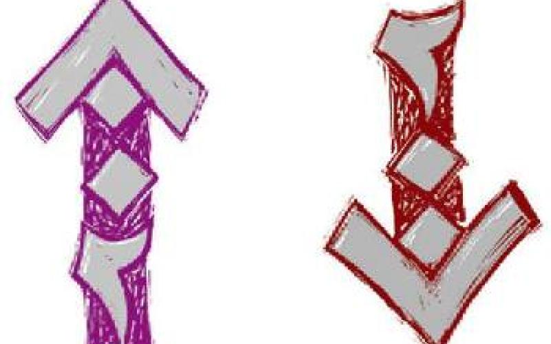 2007 نجاحات وإخفاقات للمرأة الأردنية