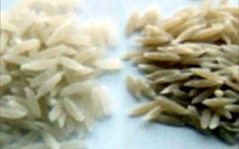 ازدحام في المؤسسة المدنية لشراء السلع الـ13 المعفاة