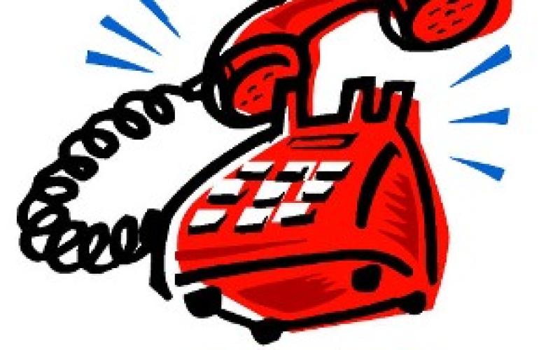 فلس على كل دقيقة اتصال هاتفي لدعم الثروة الحيوانية