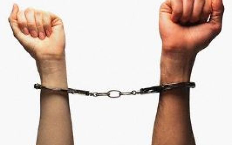 المرأة في حزبها أبعد من لجنة تخصها