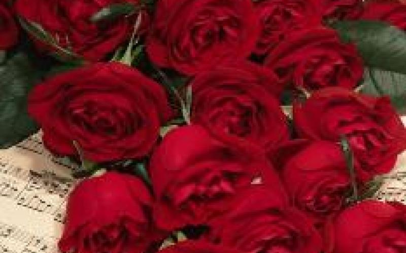 وردة الحب هذا العام 15 دينار