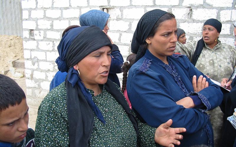 شركة لتشغيل الفتيات في الزراعة في الاغوار