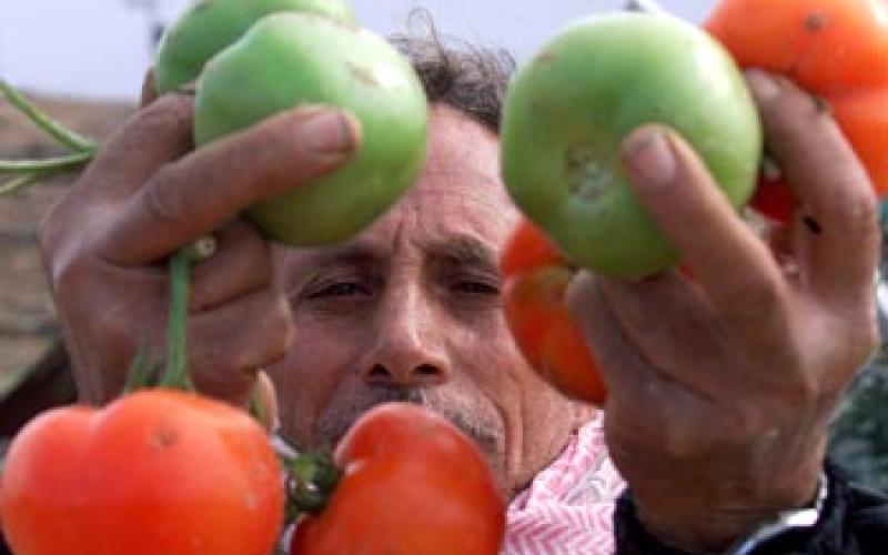 إعفاء مستلزمات الانتاج الصناعية التي تدخل في الزراعة قريبا