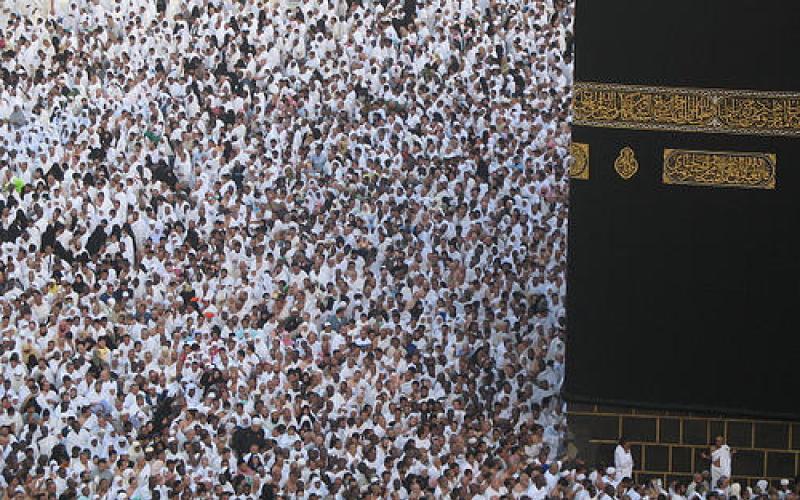 ابو بكر: تأشيرات حج النواب محاباة ومحسوبية