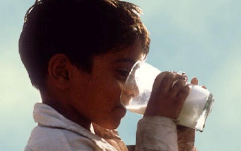 مصانع الالبان ترضخ وتخفض منتجاتها