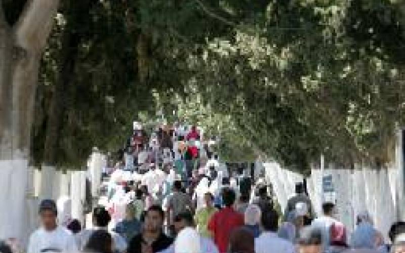 بدران يدعو لتغيير نظام مجلس أمناء الجامعات