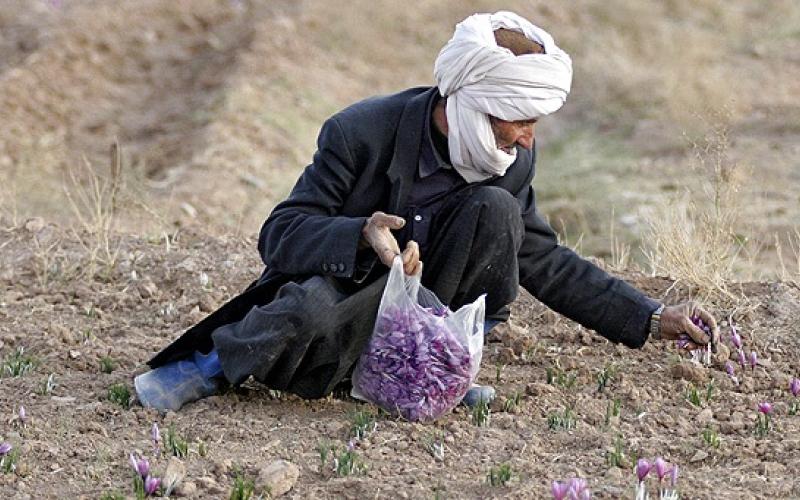 حلم الأغوار بإذاعة مجتمعية... يتبدد