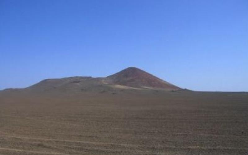 161 مليون دولار تعويضات مراعي البادية عن حرب الخليج