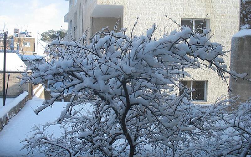 الحرارة الى ارتفاع