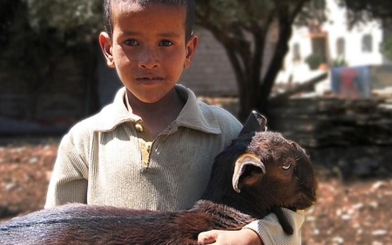 تشريد 45 مربي ماشية لعيون احد المستثمرين