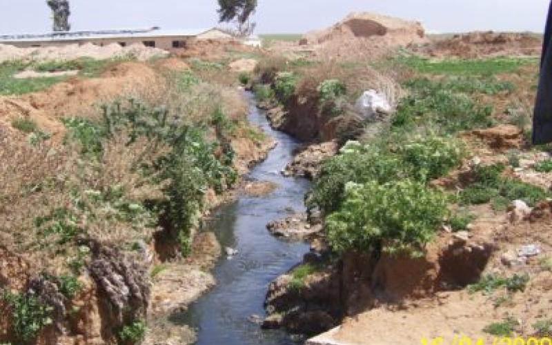 بالصور.. مستنقعات مياه عادمة تهدد منطقة الوالة