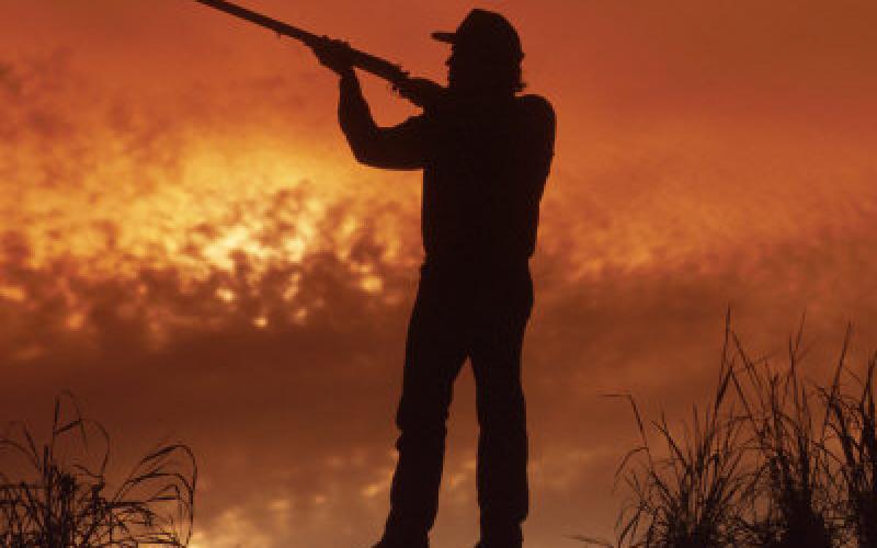 فحص عينات من صيادي الخنازير للتأكد من عدم اصابتهم بـ H1N1