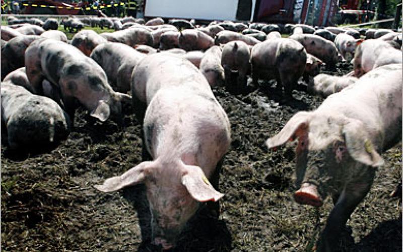 الصحة: لا نستطيع تأجيل العمرة والقرار للسعودية