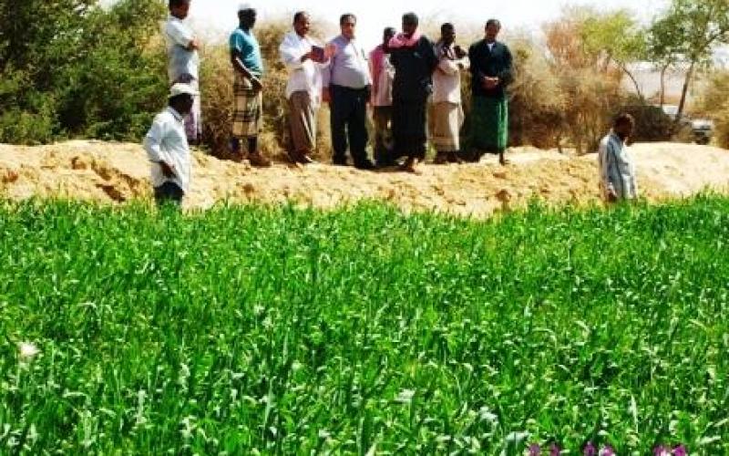 مركز الإرشاد الزراعي غور المزرعة آيل للسقوط