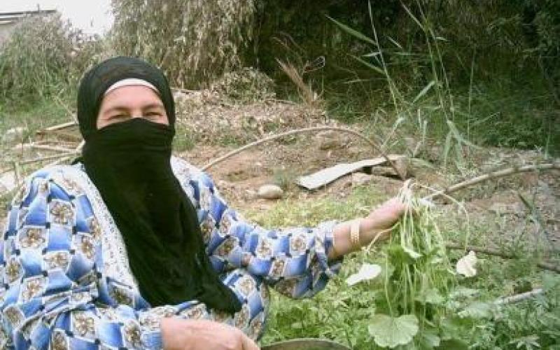 الإدارة المزرعية.. جديد صندوق المخاطر الزراعية