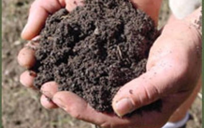 ارتفاع أسعار السماد تقلق مزارعي الأغوار