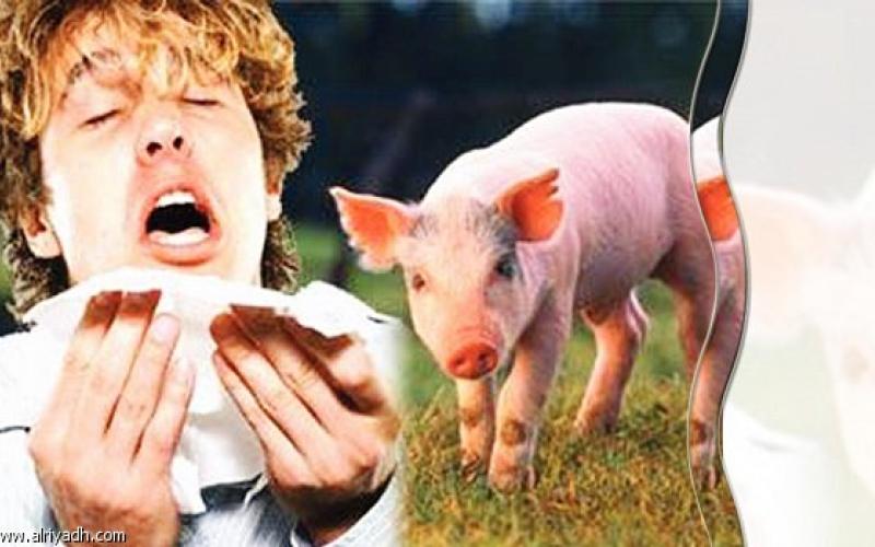 د.عبيدات:لا علاقة للخنازير بانتشار فيروس H1N1