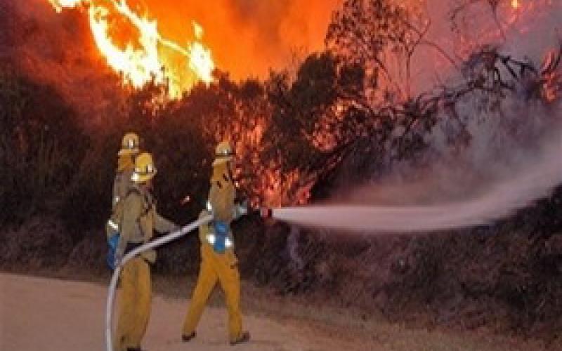 15 نائبا يطالبون ببيان إدانة "لحريق المشارع"