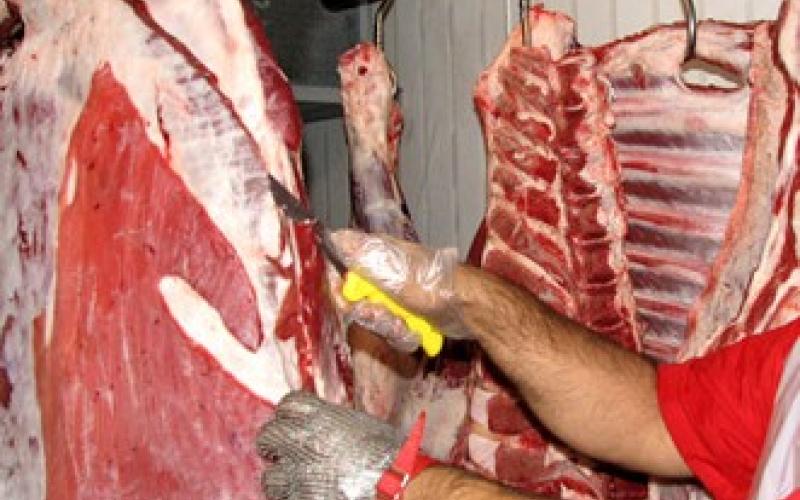 وزير الزراعة: شحنة العجول صالحة للاستهلاك