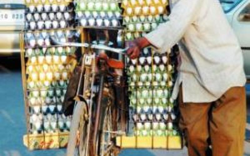 حماية المستهلك تحذر من شركات تروج منتجاتها بالغش والخداع