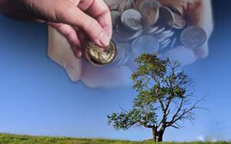 مدير عام صندوق الزكاة : الصندوق لا يعلم بالغيب