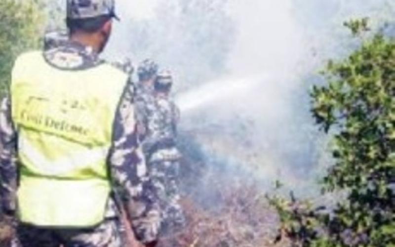 " الحرائق الاسرائيلية" تعود لتدمر المزارع شرقي النهر