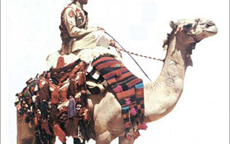 إشتباك مسلح بين قوات البادية ومواطنين ينتج عنه اصابتين