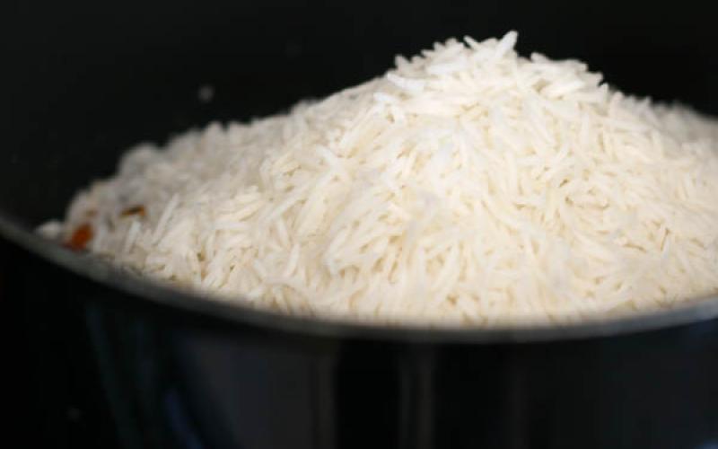 التحفظ على شحنة أرز أمريكي تحتوي حشرات