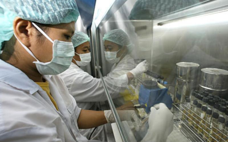 توقعات بوصول دفعة مطعومH1 N1 في تشرين الثاني