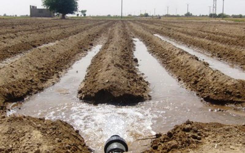 متنفذون يعتدون على مياه الري في الأغوار الجنوبية